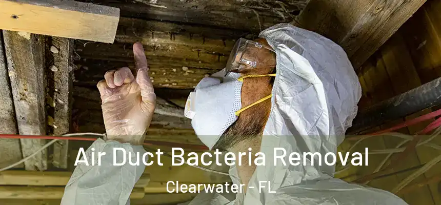  Air Duct Bacteria Removal Clearwater - FL