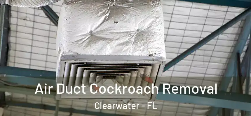  Air Duct Cockroach Removal Clearwater - FL