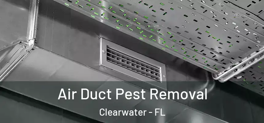  Air Duct Pest Removal Clearwater - FL