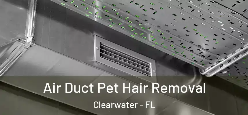 Air Duct Pet Hair Removal Clearwater - FL