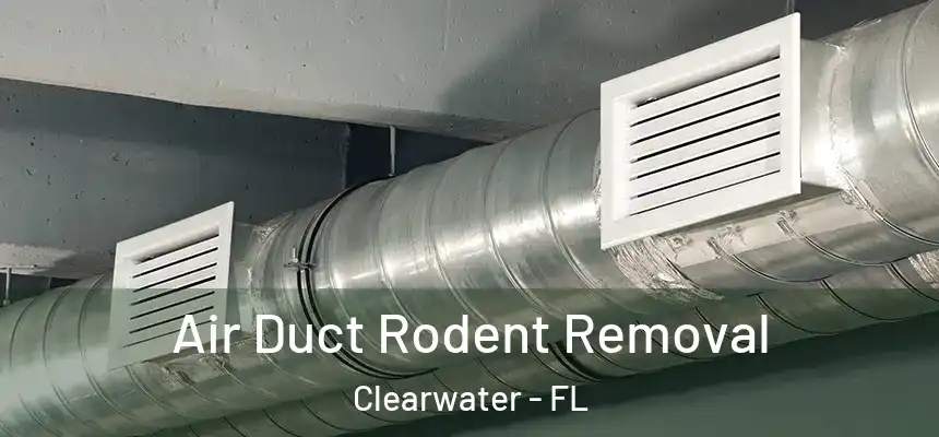  Air Duct Rodent Removal Clearwater - FL