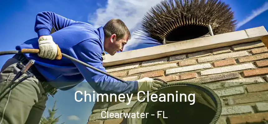  Chimney Cleaning Clearwater - FL