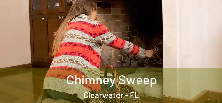  Chimney Sweep Clearwater - FL