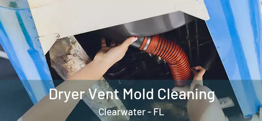 Dryer Vent Mold Cleaning Clearwater - FL