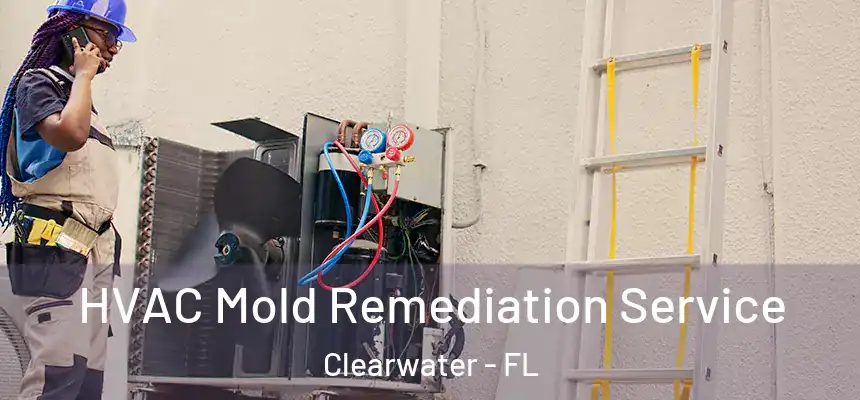 HVAC Mold Remediation Service Clearwater - FL