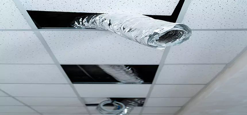 Our Air Duct Pet Hair Removal Services in Clearwater, FL