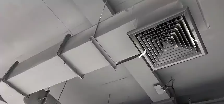 Restorative Allergy Relief Vent Cleaning – Coil, Blower & Housing Detail in Clearwater