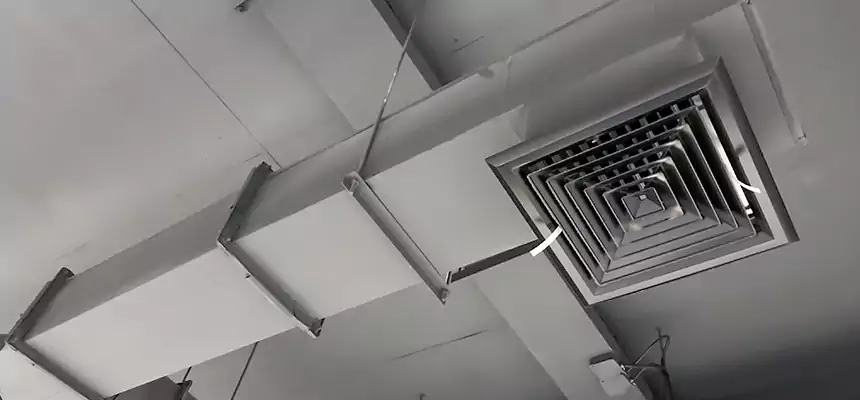 Our Rodent Droppings In Vents Services in Clearwater, FL