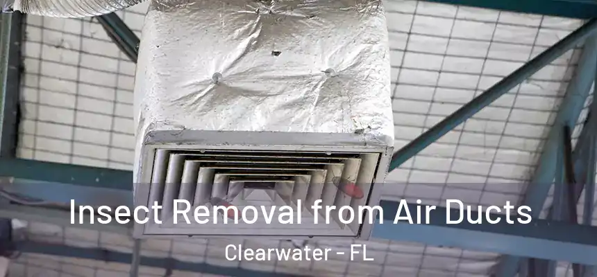  Insect Removal from Air Ducts Clearwater - FL