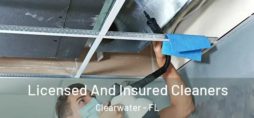  Licensed And Insured Cleaners Clearwater - FL