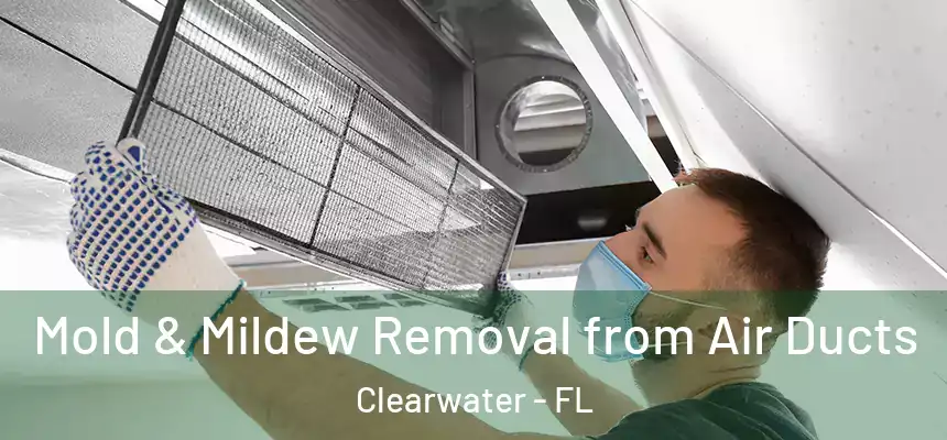  Mold & Mildew Removal from Air Ducts Clearwater - FL