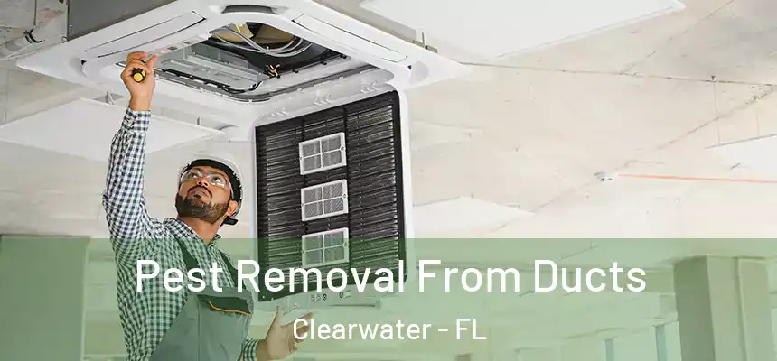 Pest Removal From Ducts Clearwater - FL