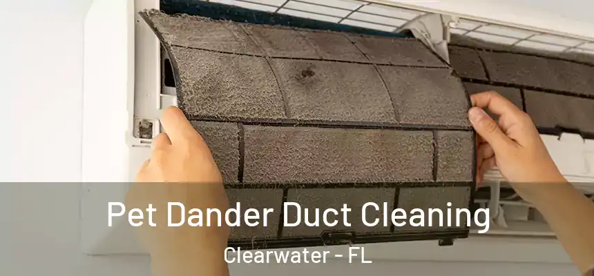 Pet Dander Duct Cleaning Clearwater - FL