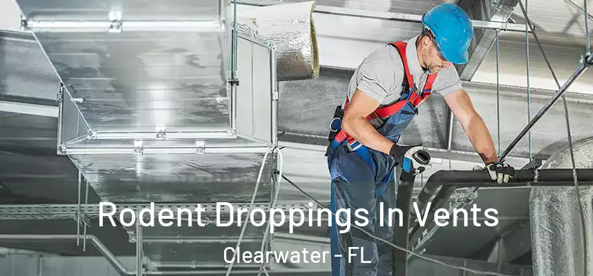 Rodent Droppings In Vents Clearwater - FL