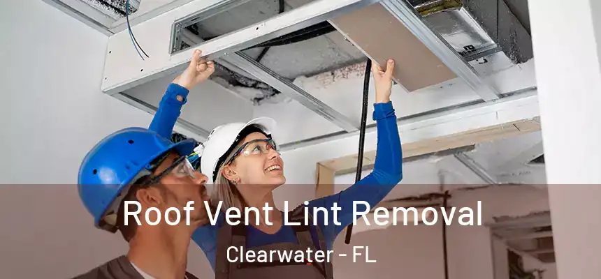 Roof Vent Lint Removal Clearwater - FL