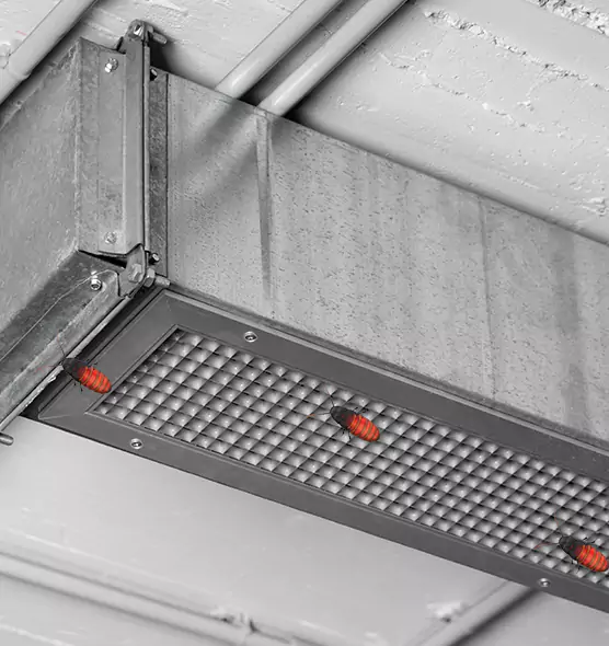 About Air Duct Cockroach Removal in Clearwater, FL