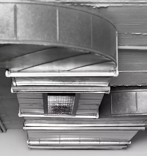 Professional Air Duct Pet Hair Removal in Clearwater, FL