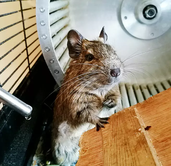 Why Homeowners & Businesses Trust Us Clearwater, FL