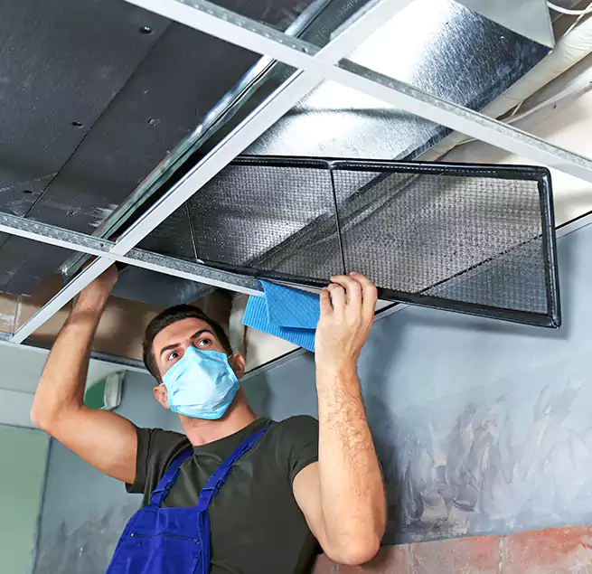 Why Homeowners Businesses Trust Us in Clearwater, FL