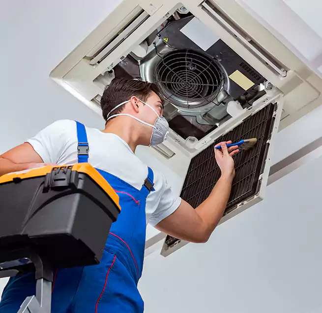 Why Homeowners & Businesses Trust Us in Clearwater, FL