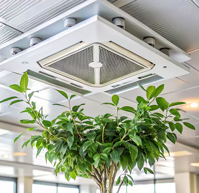 Why Homeowners & Businesses Trust Us in Clearwater, FL?