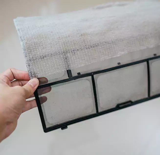 Why Homeowners & Businesses Trust Us in Clearwater, FL?