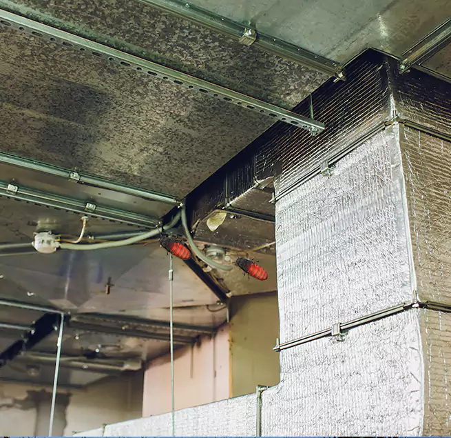 Why Homeowners & Businesses Trust Us Clearwater, FL?