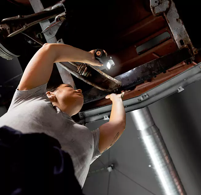 Why Homeowners & Businesses Trust Us Clearwater, FL