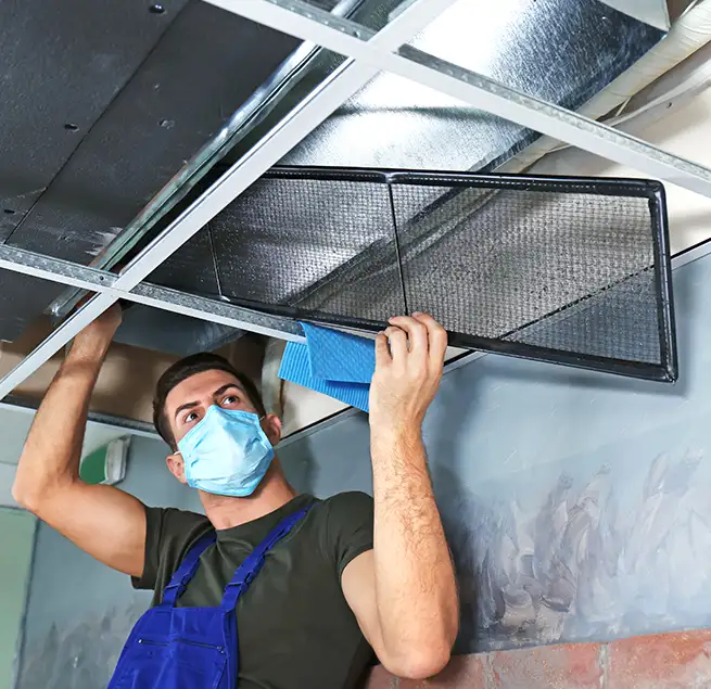 Why Homeowners & Businesses Trust Us in Clearwater, FL?